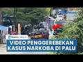 Download Lagu Viral Video Detik-detik Penggerebekan Kasus Narkoba di Palu, Polda Sulawesi Tengah: Iya Benar MP3