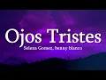 Download Lagu Selena Gomez, benny blanco - Ojos Tristes (with The Marías)