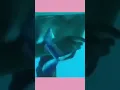 Steven Weber is shown diving down to his girlfriend Kenesha Antoine