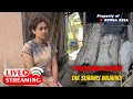 Download Lagu Live !! Sore bersama ifa janda muda anak 1