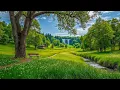 Lagu Beautiful Relaxing Music for Stress Relief 🌿 Spiritual Healing \u0026 Meditation Music