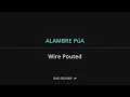 BAD BUNNY - ALAMBRE PúA Lyrics English Translation - Spanish and English Dual Lyrics  - Subtitles