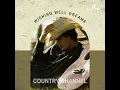 Gonna Come Back as a Country Song