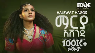 Halewat Hagos ሃለዋት ሓጎስ ማርያ ኣሸንዳ Marya Ashenda New Tigrigna Music 2025 Official Video 