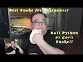 Ball Python vs Corn Snake Best beginner snake A comparison after one year with each snake