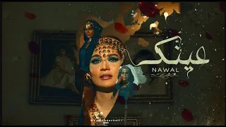                                               دندنها