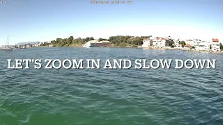 Ray show-off right by the sailboat at anchor in Preveza