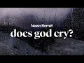 Download Lagu nessa barrett - does god cry? (lyrics)