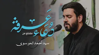 مقطع من دعاء عرفة   السيد أحمد الموسوي دندنها