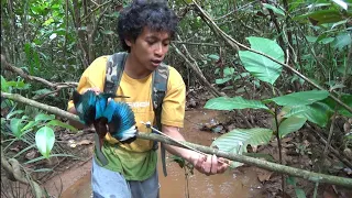 Download Cara memasang perangkap burung Tengkek dengan mudah dan cepat MP3