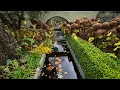 Delta sensory Gardens
