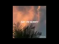 Download Lagu afgan - say im sorry (lyric video)