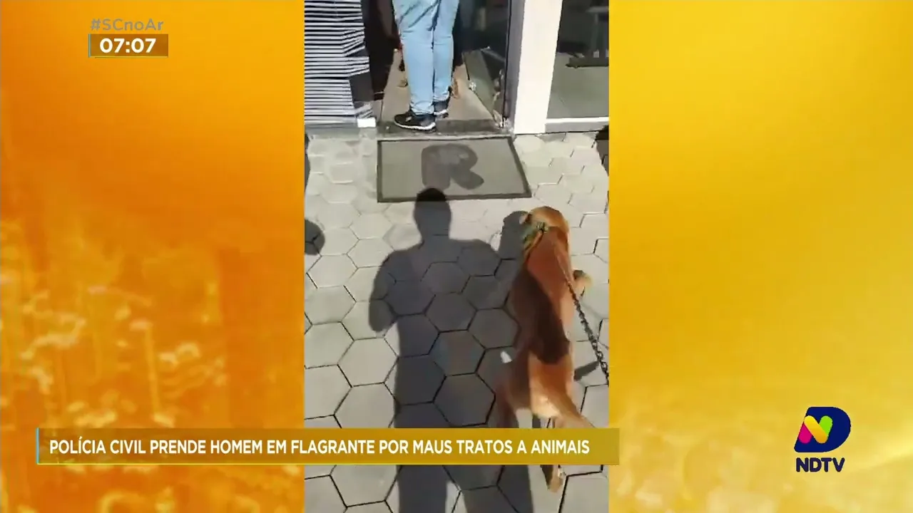 Polícia Civil prende homem em flagrante por maus tratos a animais em Apiúna