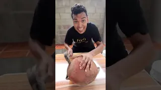 Mango Mango Original Video Phonkmeme Dragonxno1 