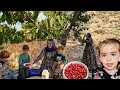 Download Lagu Parvaneh’s Passage Through the Mountain’s Valleys of Death to Reach the Mountain Tazh Berries.