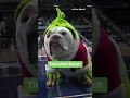The cutest Grinch