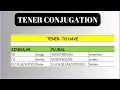 TENER USAGE CONJUGATION EXAMPLES in 5 Minutes