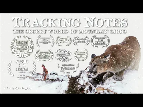 Tracking Notes: The Secret World of Mountain Lions - Teaser