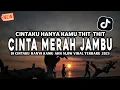 Download Lagu DJ CINTAKU HANYA KAMU AHH CINTA MERAH JAMBU SLOW VIRAL TIKTOK TERBARU 2025