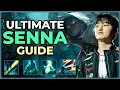 The ONLY Senna Guide You ll Ever Need