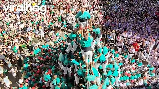 Castellers de Vilafranca Complete Record-Breaking First 9-Level Human Tower