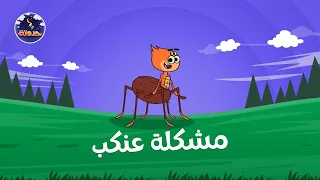 مشكلة عنكب    حواديت قبل النوم للأطفال دندنها