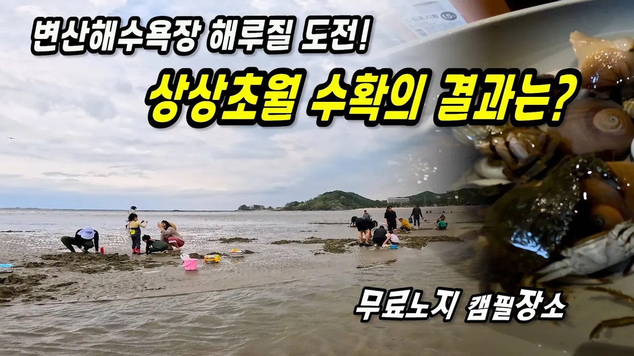 밤바다의 해루질! 골뱅이 무침과 힐링 캠핑🌊🔥변산해수욕장 노지캠핑차박지 サムネイル