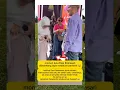 Download Lagu momen lucu desi ratna sari 😆