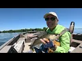 Lake Link Winnebago Report June 24