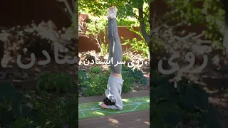 یوگا Sirsanasa Samin Yoga 