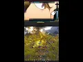 BDO Ninja Zerker Edania 2 PvE and NW PVP Portrait