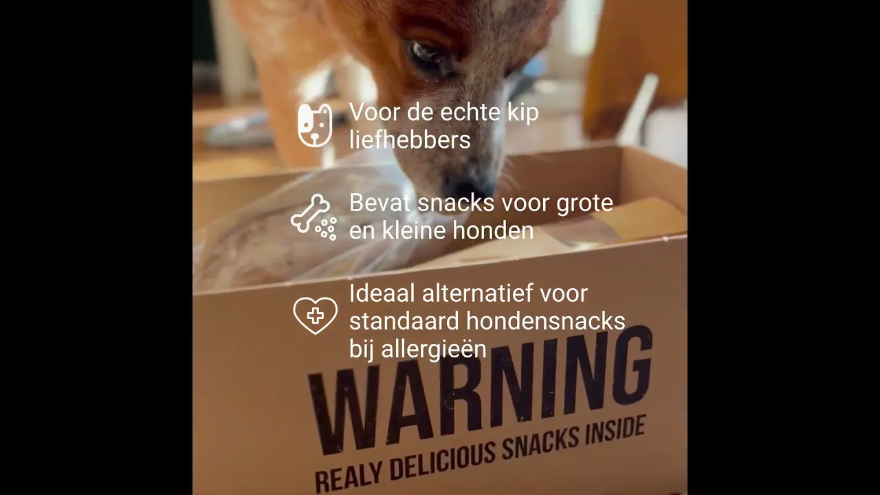 Bellobox Kip