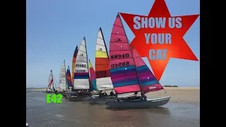 Show us your cat! Episode 42 USA, Brazil and Italy?