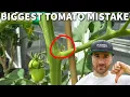 You re Pruning Tomatoes WRONG This Mistake Will DESTROY Your Harvest