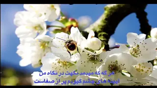 فصل عشق شعر صفیه میلاد آواز خوان استاد منیر خان دندنها