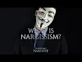What is narcissism