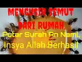 Mengusir Semut dari Rumah, Putar Surah An Naml, Insya Allah Berhasil