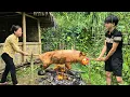 Download Lagu Homeless boy and poor girl pool money to buy pig - Make delicious roast pig by yourself