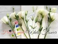 Let s draw beautiful White Lisianthus in Watercolor Tutorial step by step