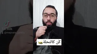 كن كالنحلة     شبابيات دندنها