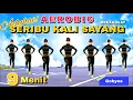 Download Lagu AEROBIC SERIBU KALI SAYANG | SENAM PEMULA HILANGKAN LEMAK PERUT | Irna Chendani