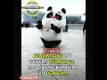 Download Lagu Sw imut!!!