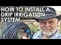 How to Install a Cheap Drip Irrigation System Black Gumbo