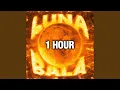 Download Lagu LUNA BALA (SLOWED) (1 HOUR)