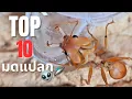EP 50 TOP 10 Most Strange Ants MORE MOD