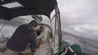 #19: Hurricane Patricia Blows!