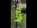 Christmas mailbox Decor