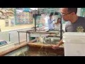 MS APPLES CRABSHACK MERRITT ISLAND ICE CREAM JUNCTION