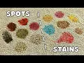 How to Remove Any Carpet Spot or Stain in Two Steps or Less