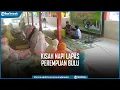Download Lagu Kisah Napi Lapas Perempuan Bulu Semarang Tadarus Alquran Setiap Hari
